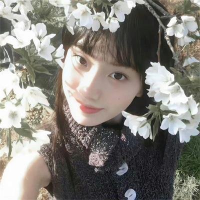 民国少年侦探社